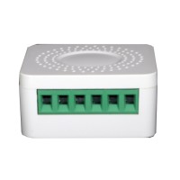 Relay de tiempo inteligente compacto Wi-Fi 2 salidas (GF-TJ)