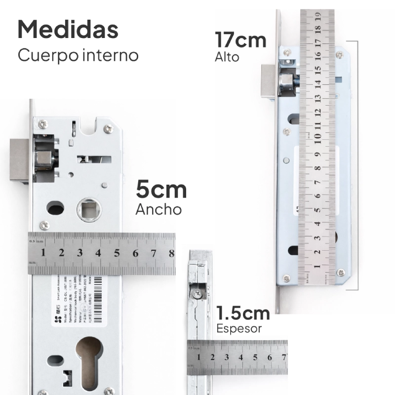 CS-DL06-R100-WBCP-GR