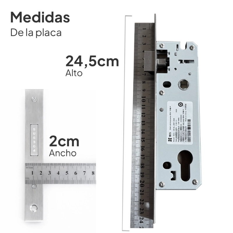 CS-DL06-R100-WBCP-GR