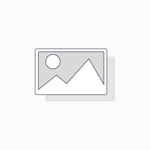 .old Domo PTZ IP Hikvision 2MP 25x DarkFighter Acusense IP66 (DS-2DE4225IW-DE(T5)) 